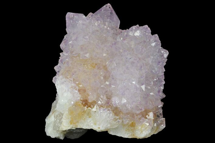 Cactus Quartz (Amethyst) Crystal Cluster - South Africa #132477